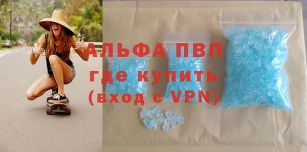 PSILOCYBIN Аркадак