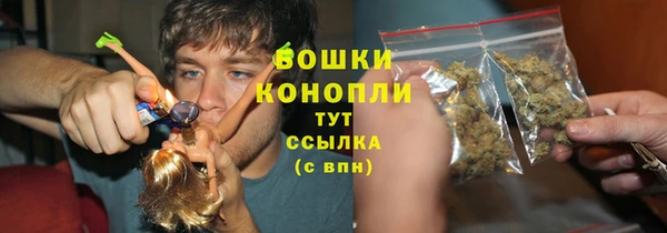 PSILOCYBIN Аркадак