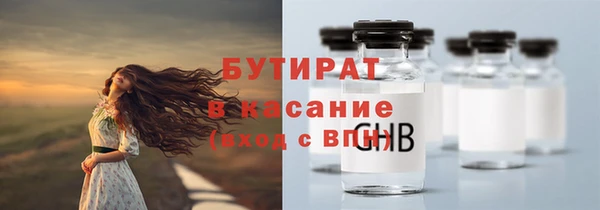 стаф Алзамай