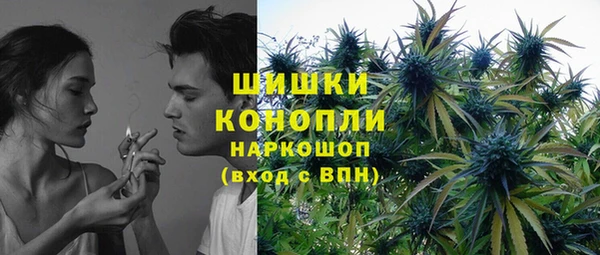 PSILOCYBIN Аркадак